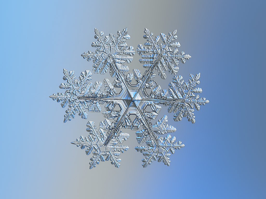 Alexey Kljatov, CC BY-SA 4.0
https://upload.wikimedia.org/wikipedia/commons/5/51/Real_snowflake_macro_photo_2021-02-11_1.jpg
<https://creativecommons.org/licenses/by-sa/4.0>, via Wikimedia Commons
